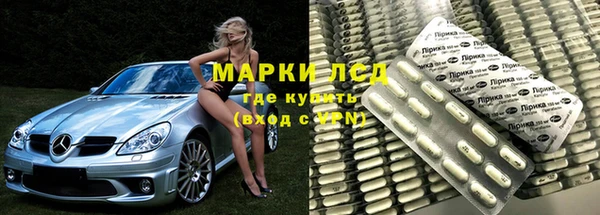 сатива Алзамай